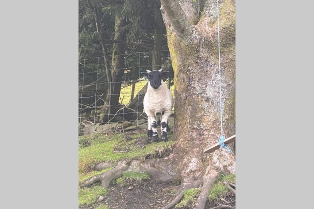 Glendyne Cottages, Highest Village In Scotland Wanlockhead エクステリア 写真